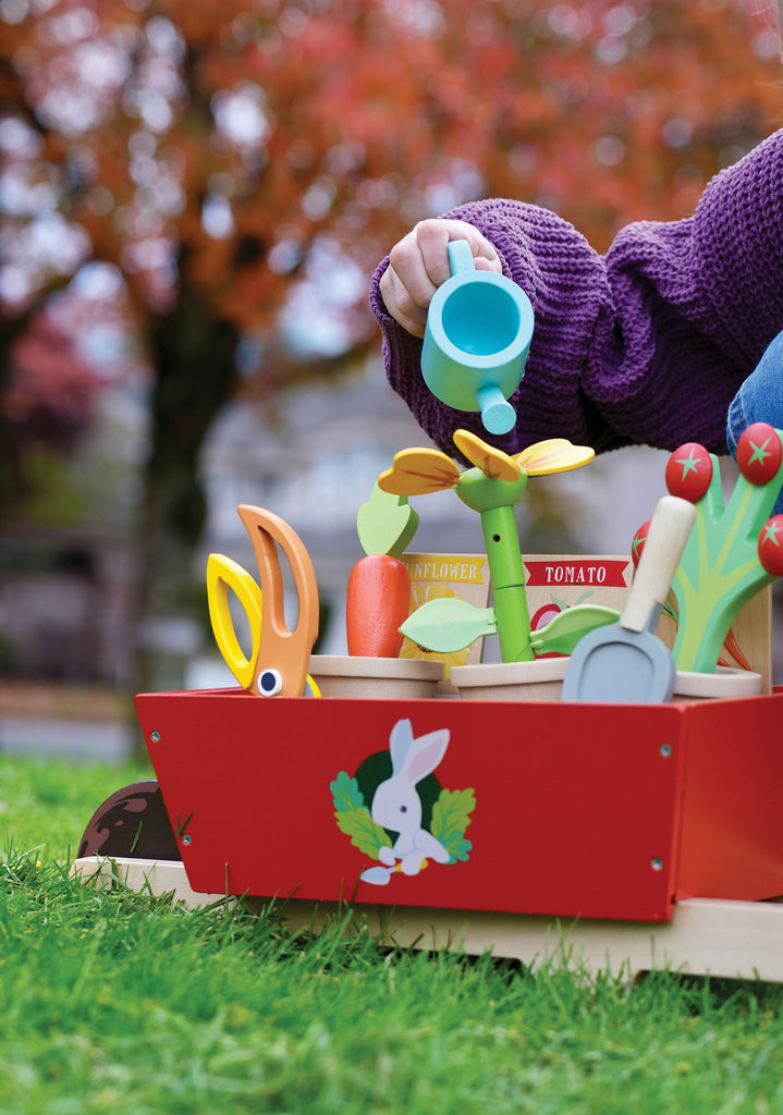 Garden Wheelbarrow Set